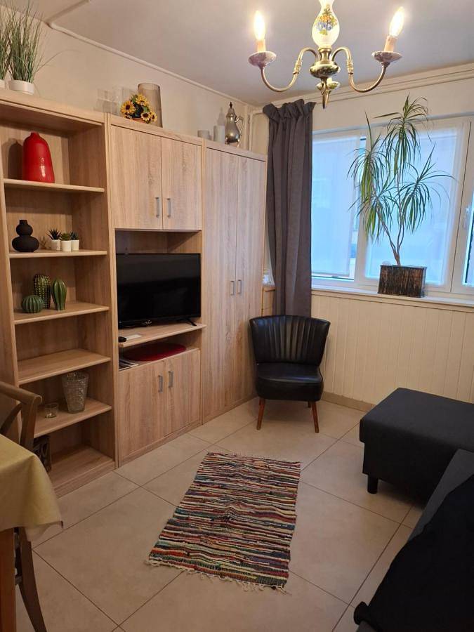 Gîte pour 2 personnes, avec terrasse, animaux acceptés à Blankenberge - 4