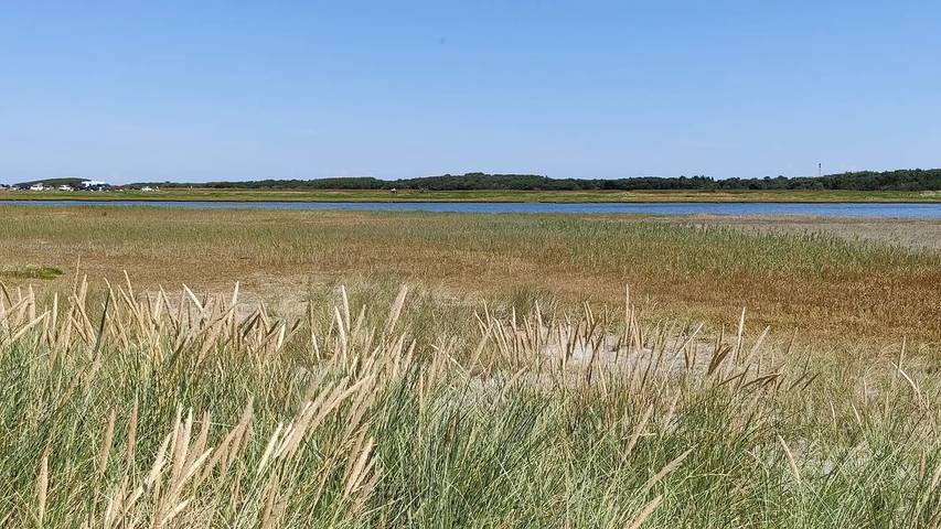 Ferienhaus für 9 Personen, mit Sauna und Whirlpool sowie Terrasse auf Læsø