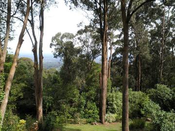 Cottage for 2 People in Monbulk, Victoria, Photo 4