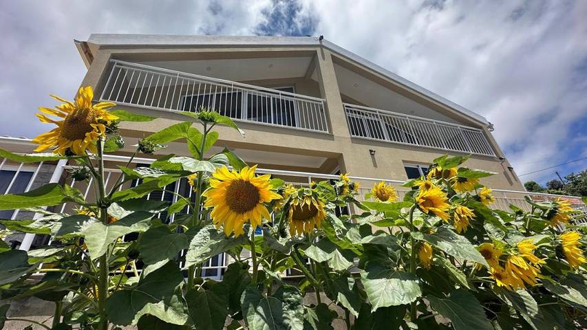 Pension voor 2 personen, met terras en uitzicht op Madeira