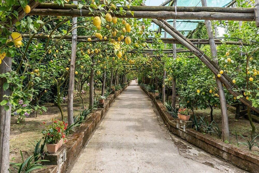 Casa vacanza a Sorrento a partire da 849€ a notte