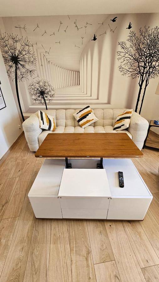 Gîte pour 3 personnes, avec vue sur le lac et balcon à Veyrier-du-Lac - 3