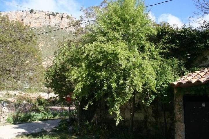 Gîte Los Enebros pour 4 personnes in Nerpio, Province d'Albacete