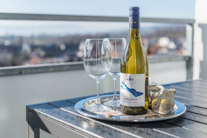 Ganze Wohnung, Ferienwohnung 'Bodenseepanorama Oberuhldingen' mit Seeblick, Balkon und Wlan in Oberuhldingen, Uhldingen-Mühlhofen