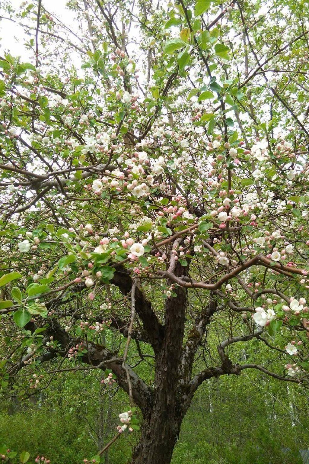 Gemütliches Haus in Arvika mit Garten und Grill in Värmland
