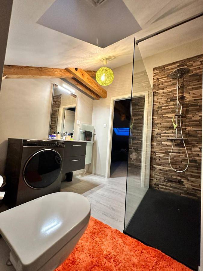 Appartement entier, Loft 100m2 confort+. Chez Cédric et Jeza in Le Thillot, Région d'Épinal