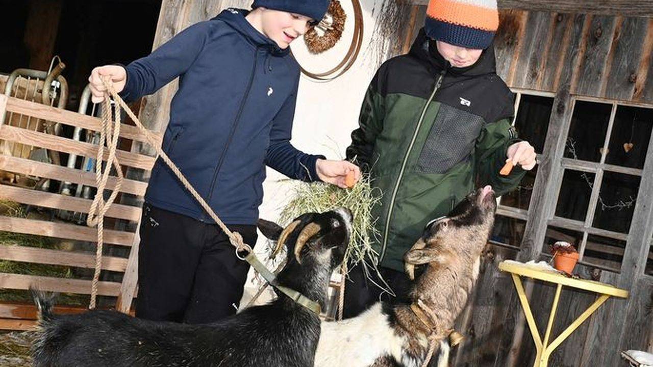 Hütte für 4 Personen in Krumbach (Vorarlberg), Allgäuer Alpen (Österreich)
