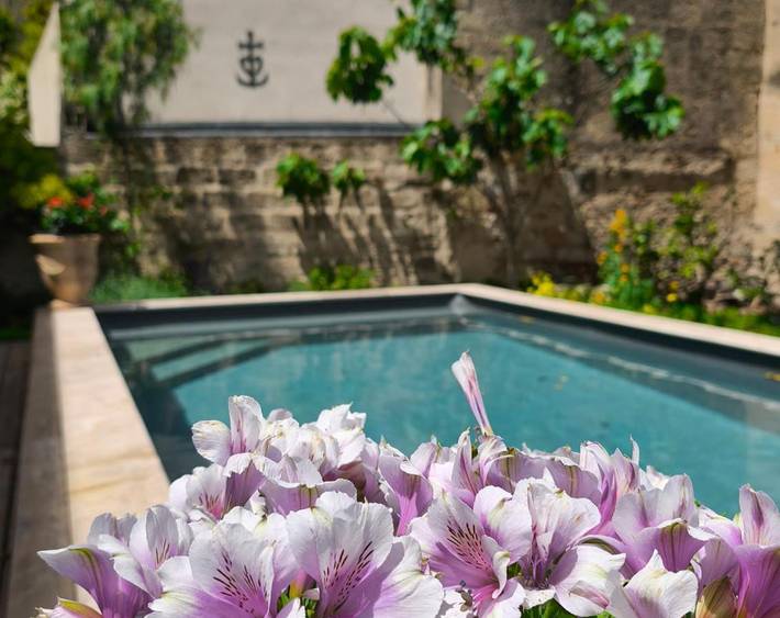 Chambre d’hôte pour 2 personnes, avec jardin ainsi que piscine et terrasse à Aigues-Mortes - 4