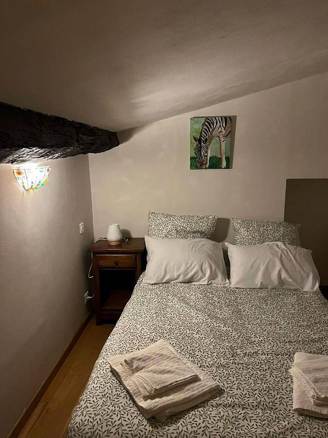 Gîte pour 4 personnes, avec vue et jardin, animaux acceptés à Montferrer - 3