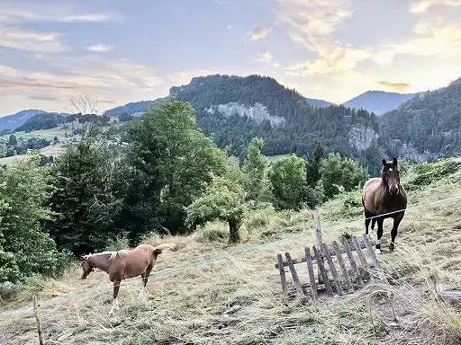 Chalet Simone overlooking a typical village in Val d'Arly in Flumet, Albertville region
