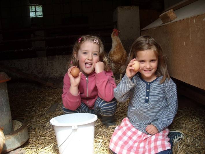Ferienhaus für 5 Personen, mit Terrasse und Garten, kinderfreundlich in Landkreis Heidekreis - 4