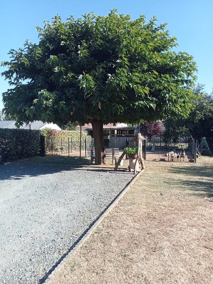 Gîte pour 2 personnes, avec jardin, animaux acceptés dans Fontenay-le-Comte - 2