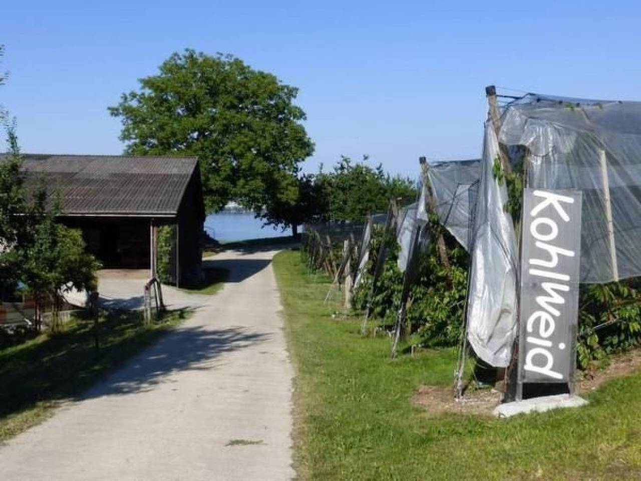 Ganze Wohnung, Ferienwohnung in Kanton Luzern