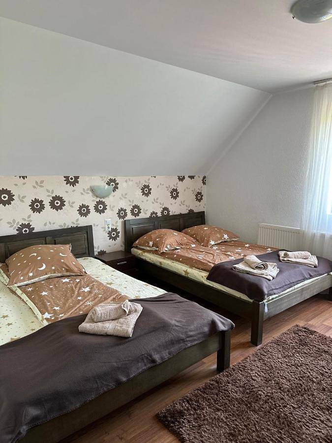 Business Double Room with Gym Access in Sovata