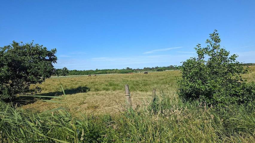 Ferienhaus für 7 Personen, mit Terrasse in Blavand