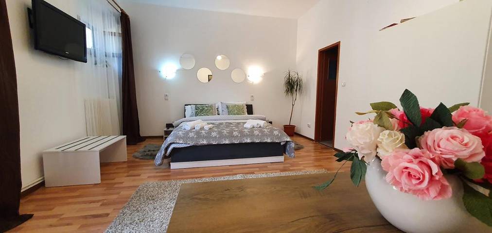 Gîte pour 2 personnes, avec jardin dans Cluj-Napoca - 2