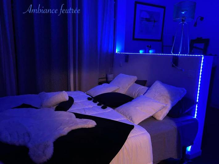 Chambre d’hôte pour 2 personnes, avec vue et jardin, animaux acceptés à Auvillar - 2