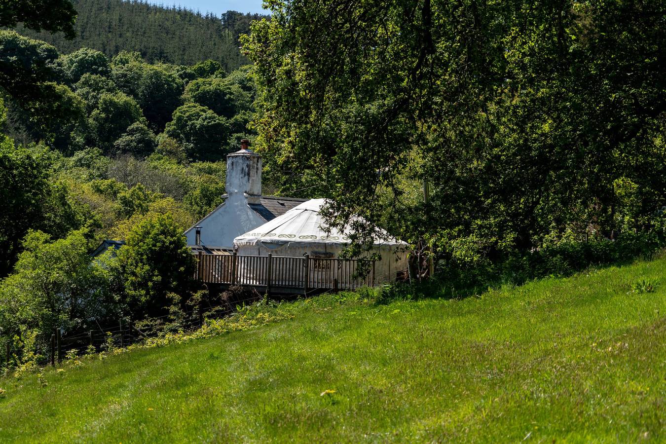 Hapus Yurt - Two Beautiful Yurts and Barn Cottage in Conwy region
