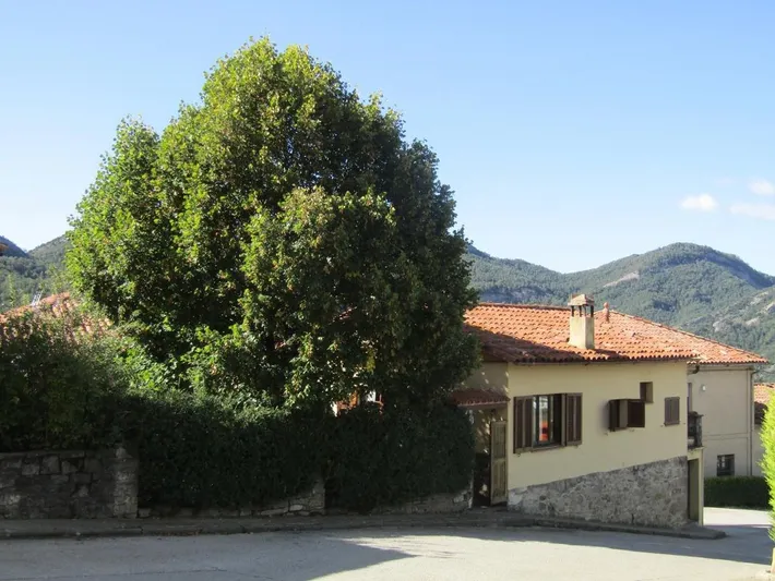 Holiday home for 5 people, with garden and view, with pets - 1