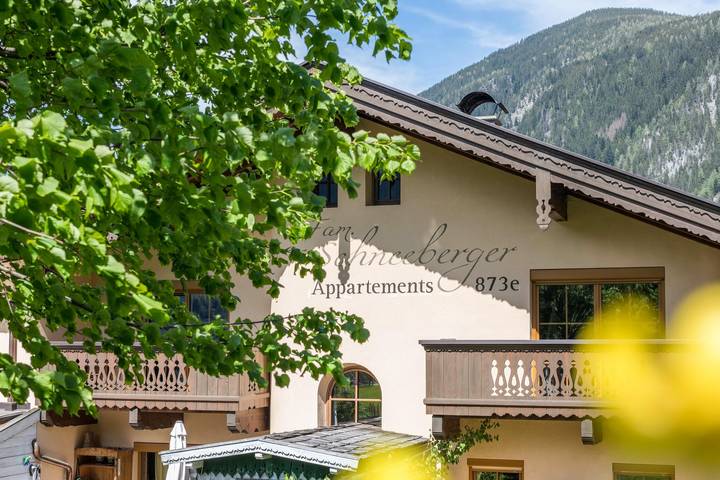 Ganze Wohnung, Gemütliches Appartement Schneeberger mit Bergblick, Wlan und Garten in Mayrhofen, Zillertaler Alpen
