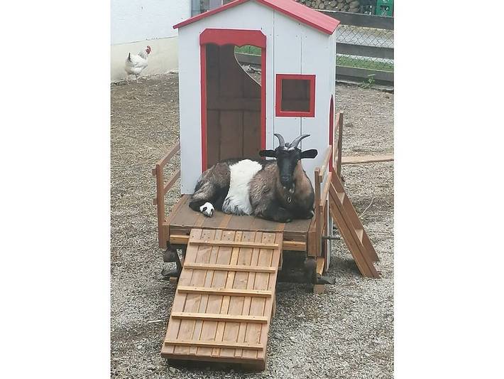 Ferienhaus für 4 Personen, mit Garten, mit Haustier