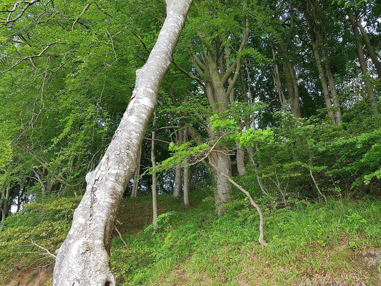 Gemutliches Refugium am Strand -- By Traum Ferienwohnungen in Andkær, Børkop