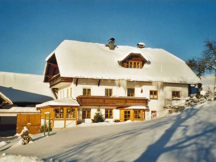 Ferienwohnung für 12 Personen, mit Balkon und Garten sowie Pool und Seeblick am Traunsee