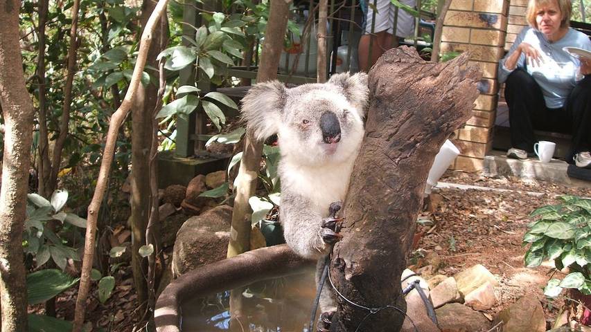 Holiday home for 6 people, with garden and balcony in Magnetic Island