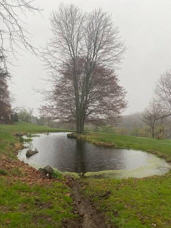 Modern carriage house, renovated w beautiful views in Raritan Township, Hunterdon County