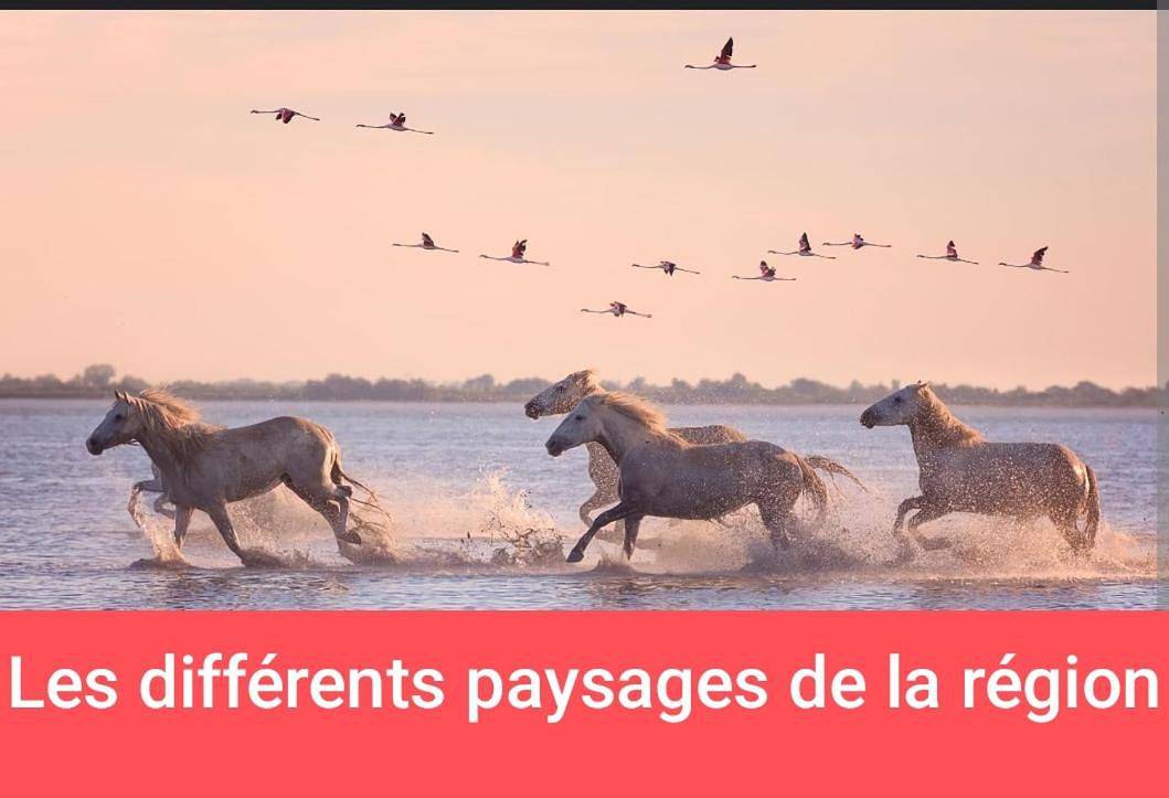 Montpellier van aménagé Sans Wc Sanitaire Et Cuisine, Juste Pour Dépanner quelques nuits, Prévoir Une Batterie Externe Pour Les Téléphones Merci De Bien Lire Le Descriptif in Port Marianne, Montpellier