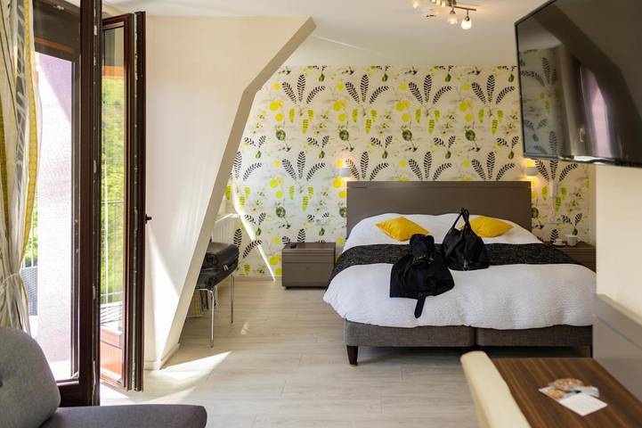 Hôtel pour 2 personnes, avec sauna ainsi que jacuzzi et jardin, animaux acceptés