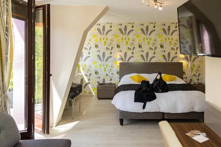 Hotel for 2 people, with sauna and garden as well as hot tub, with pets - 1