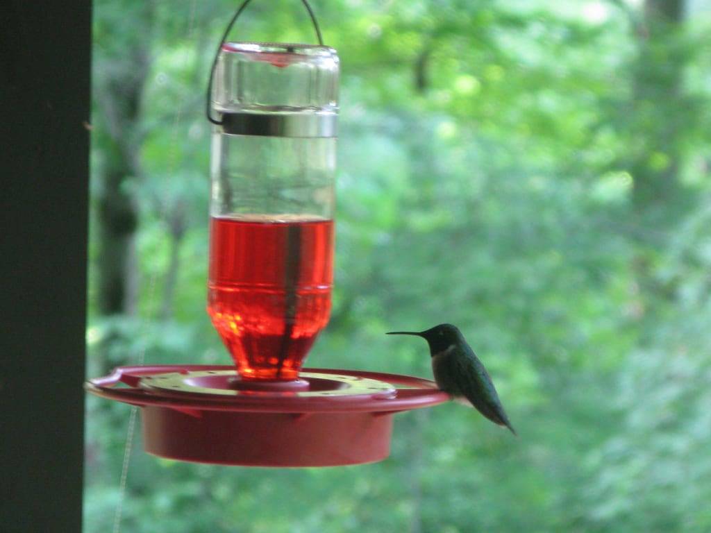 Spezielle Winterrate Delaware River Front Cabin, Haustierfreundlich, Poconos / Catski in Pike County