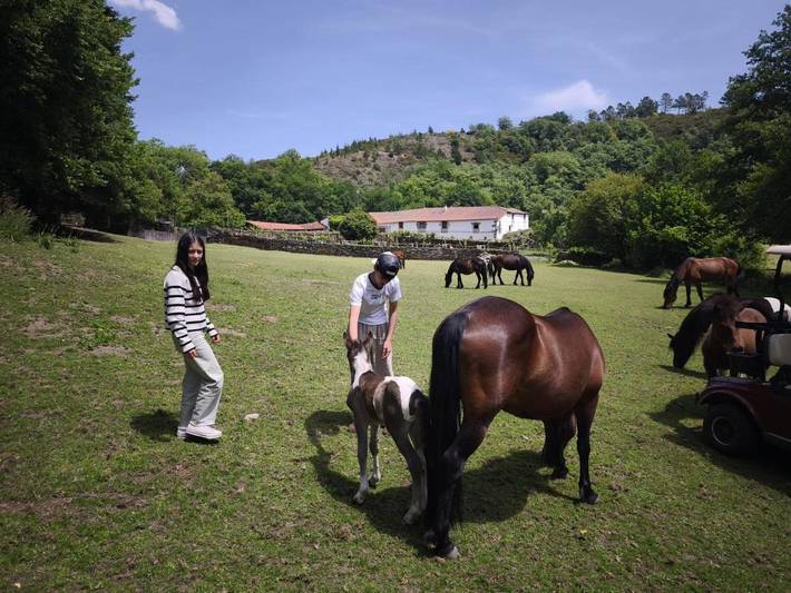 Chalet para 4 personas, con vistas además de jardín y vistas al lago en Provincia de Lugo - 3