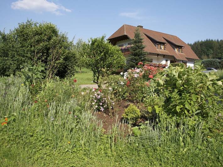 Ferienwohnung mit 2 Schlafzimmer in Seelbach, Mittlerer Schwarzwald