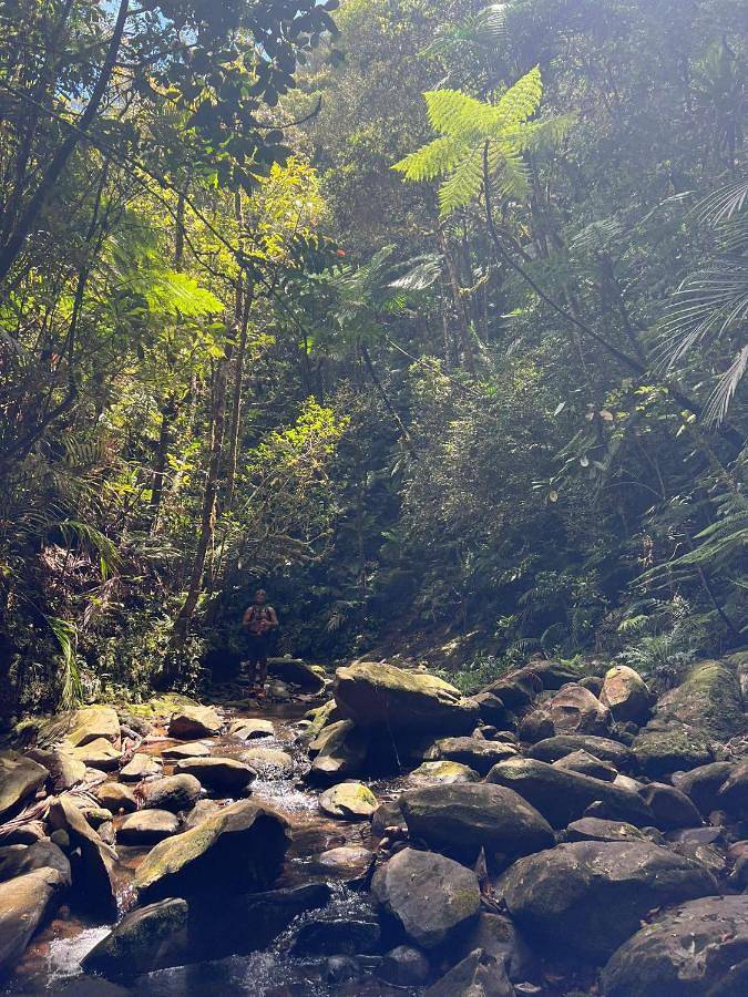 Gîte pour 4 personnes, avec jardin à Sarraméa - 2