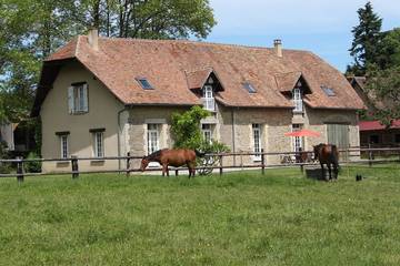Gîte pour 15 personnes, avec jardin à Semallé