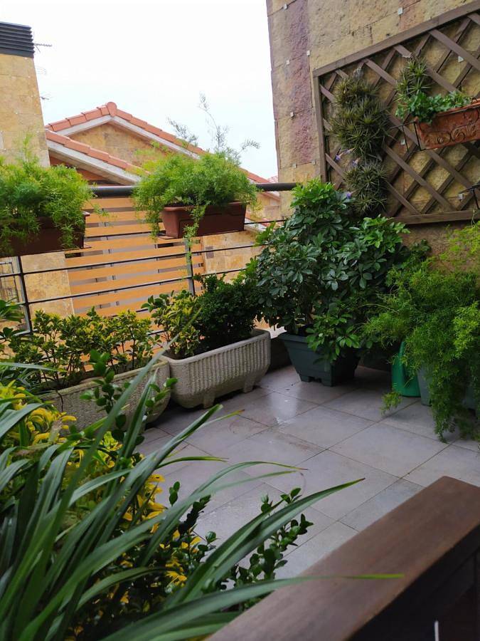 Apartamento vacacional entero, Casa Las Marzas-El Boj in Colombres, Ribadedeva