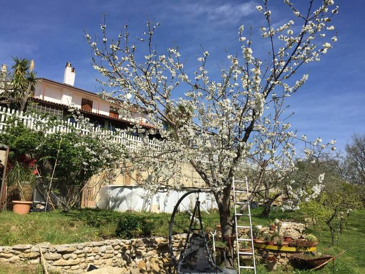 Villa for 10 people, with pool in Abruzzo