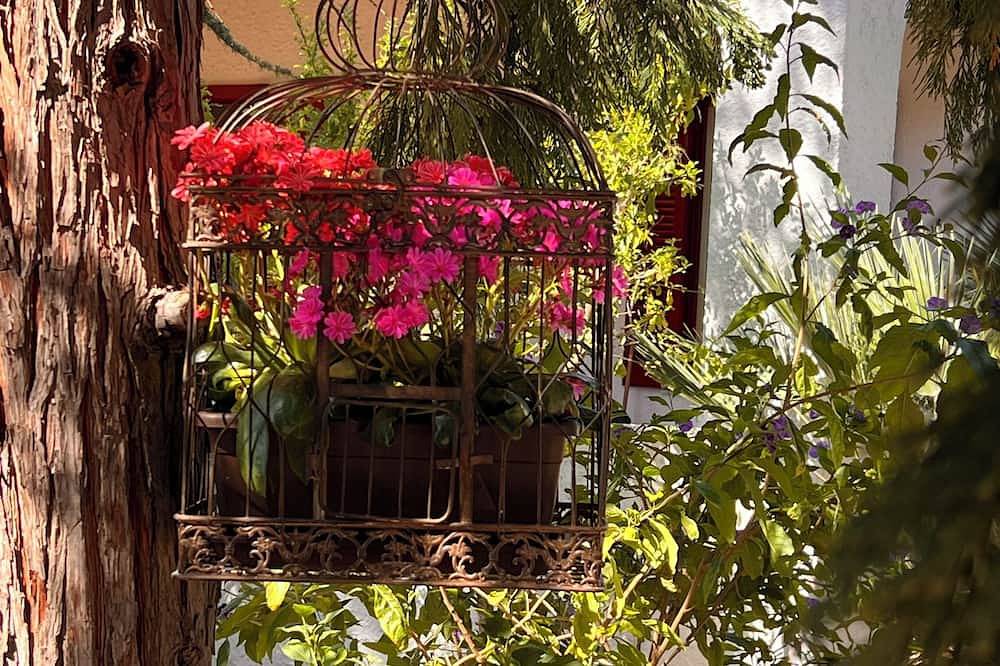 Detached Villa - Bisceglie in Bisceglie, Barletta-Andria-Trani