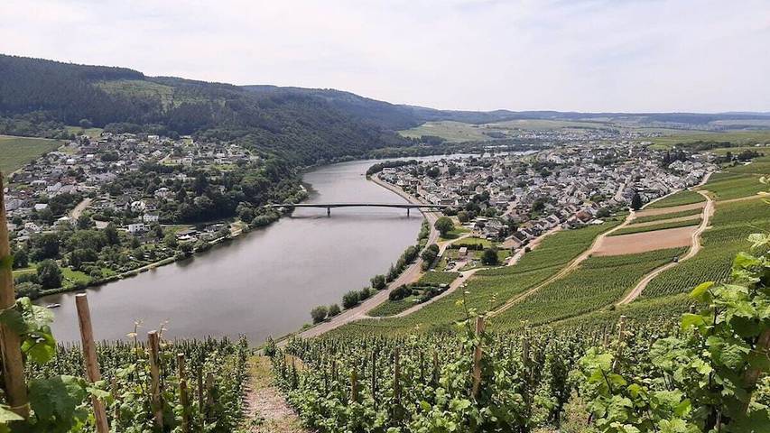 Ferienhaus für 4 Personen, mit Terrasse in Mehring - 4