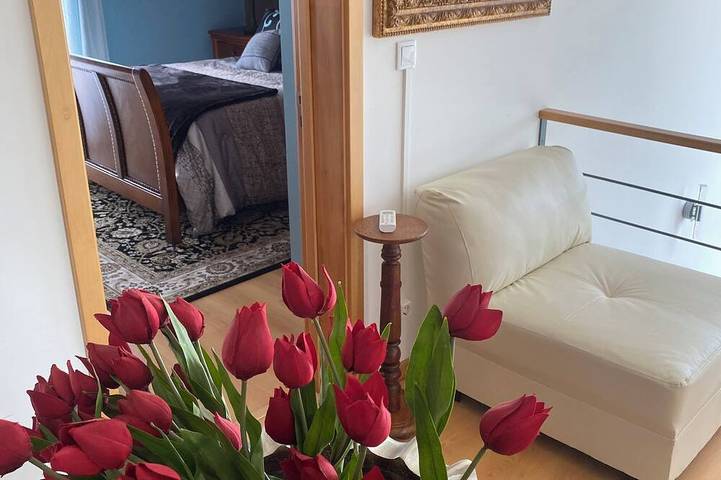 Location de vacances pour 2 personnes, avec jardin et balcon à Povoação - 3