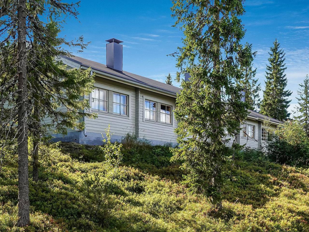 Lupposyöte b1 in Pudasjärvi