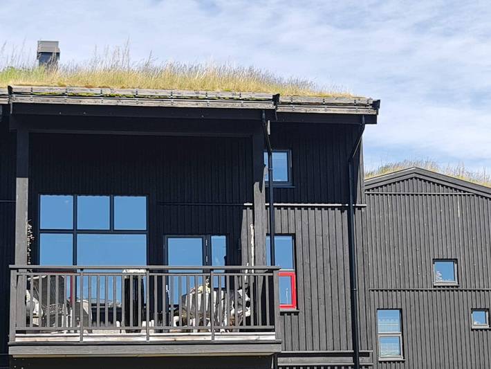 4 Sterne Ferienhaus in Hovden in Hovden, Bykle