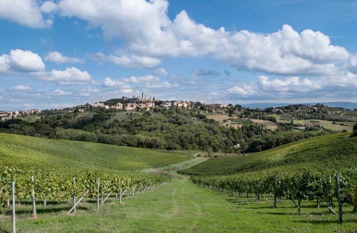 Chambre d’hôte pour 3 personnes, avec jardin ainsi que vue et piscine à San Gimignano - 4