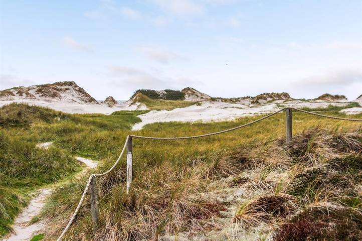 Ferienhaus für 8 Personen, mit Sauna und Terrasse am Ringkøbing Fjord - 3
