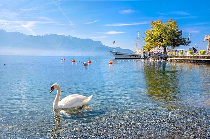 Location de vacances pour 4 personnes à Thonon-les-Bains