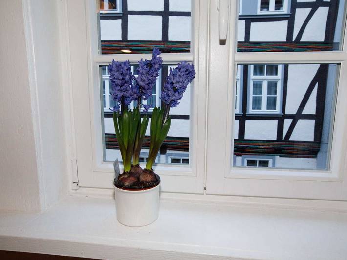 Ferienwohnung für 4 Personen, mit Garten in Werratal - 4