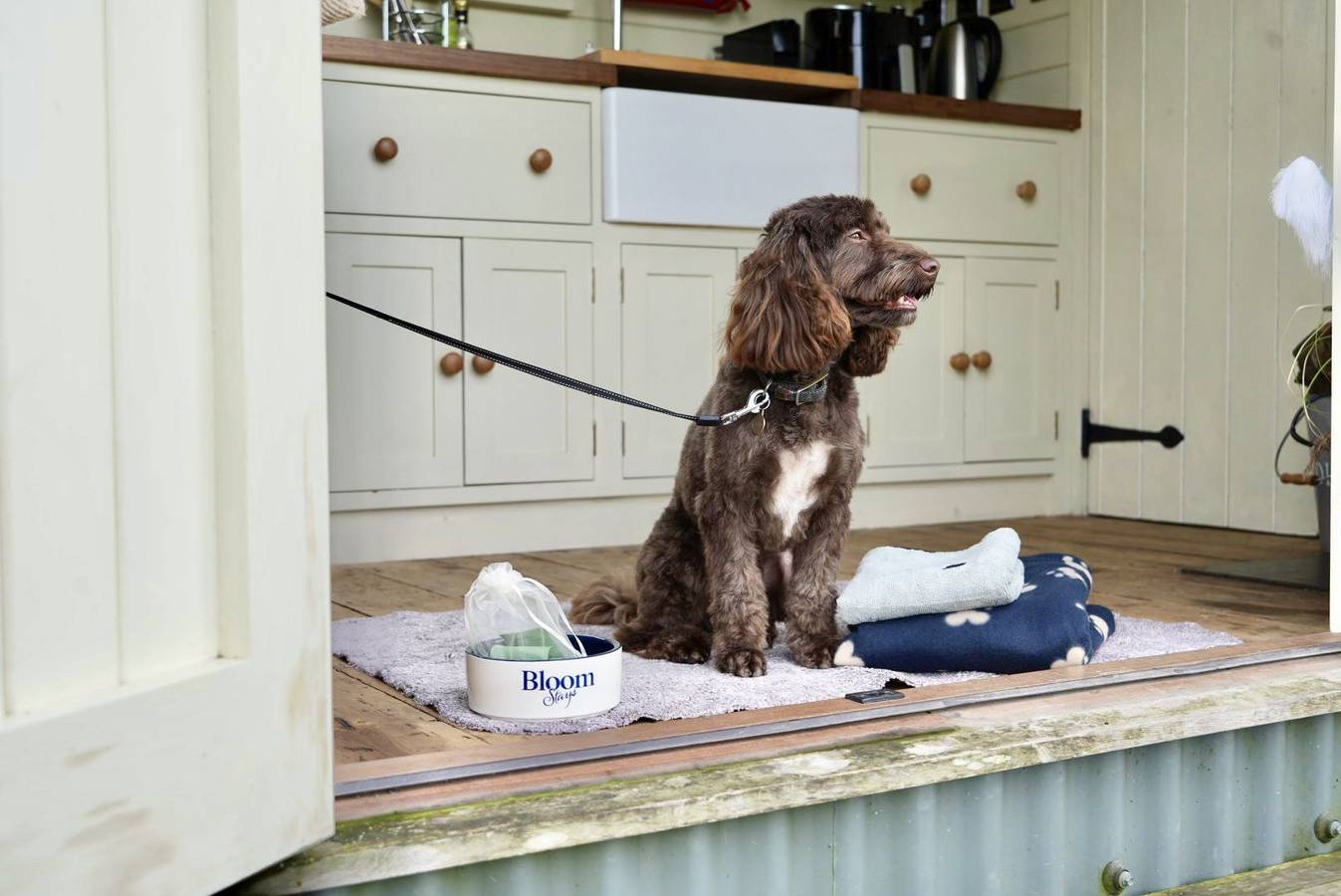 The Lookerer in Bonnington, Región de Ashford