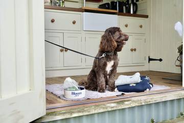 Hut voor 2 Personen in Bonnington, Kent Downs, Afbeelding 1